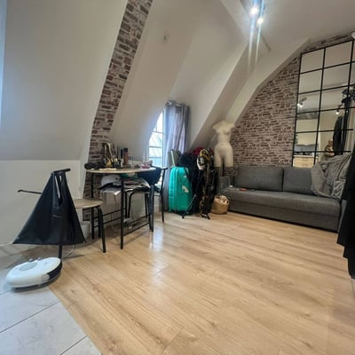 Rent of a cozy studio with a tower view, 17 m², 15th arrondissement, Paris, France